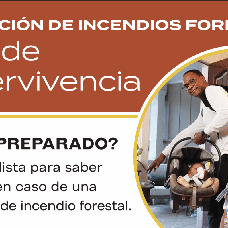 Guia de supervivencia